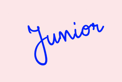 Junior Job Title