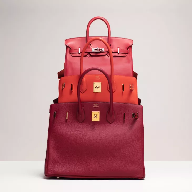 The Most Expensive Hermès Birkin Bags 