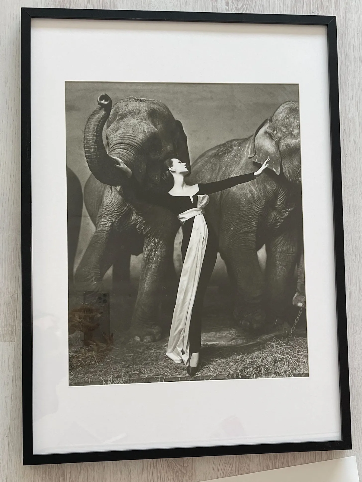 Famous Fashion Photographers You Need To Know by Glam Observer Blogger Giada Graziano: Richard Avedon (1932 - 2004) framed photo of a woman with the elephants